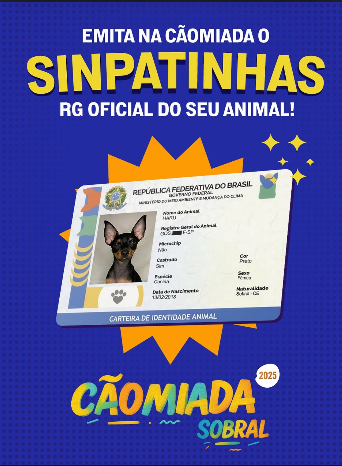 SinPatinhas terá stand especial na Cãomiada de Sobral para emissão de carteirinhas de pets