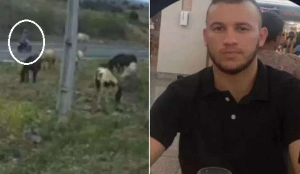Motociclista m0rre ao colidir com cavalo na mesma rodovia em que a mãe m0rr3u