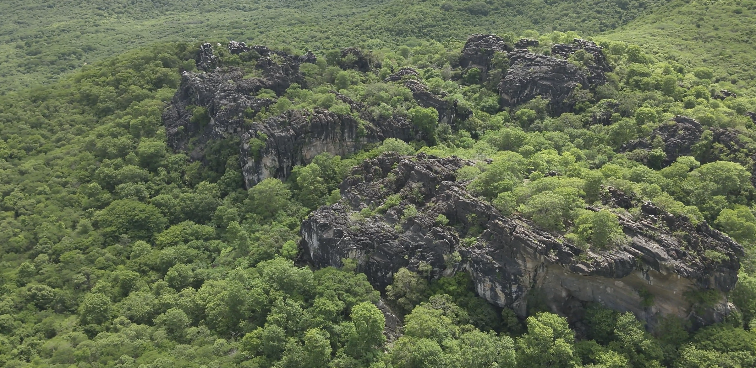 Governo do Ceará cria cinco novas Unidades de Conservação e amplia proteção da Caatinga