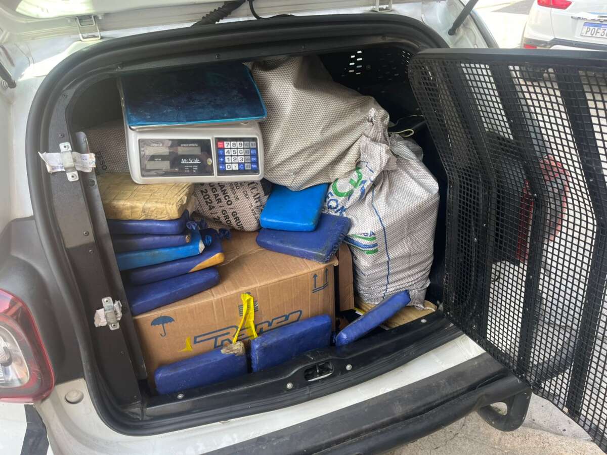 PMCE apreende mais de 144 quilos de m4conh4 e prende suspeito por tráf1c0 em Fortaleza