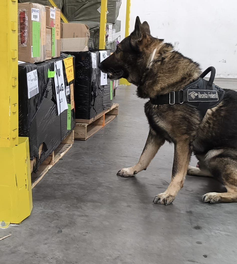 Receita Federal intercepta carga de entorpecentes enviada dos Estados Unidos