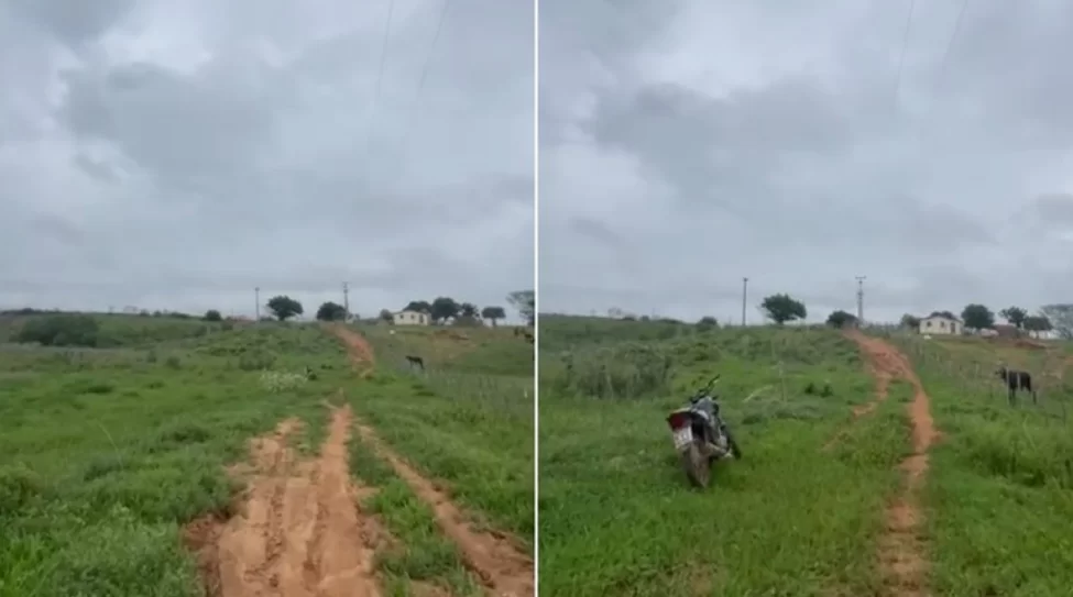 Mulher encontrada em mata no Ceará após 3 dias desaparecida após fugir de agress0r