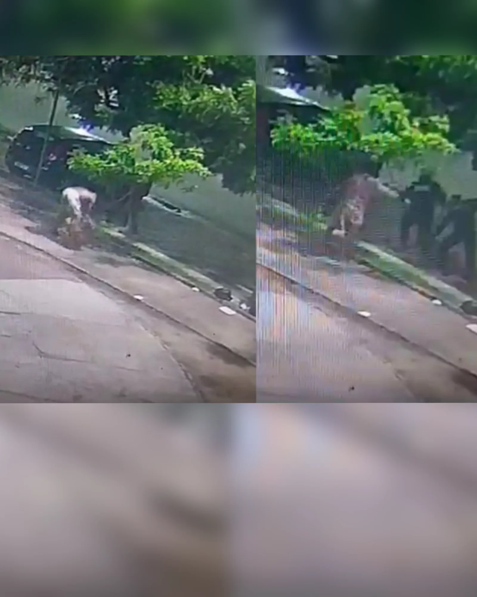 Homem é preso em flagrante após agr3dir ex-companheira com pedaços de vidro em Fortaleza