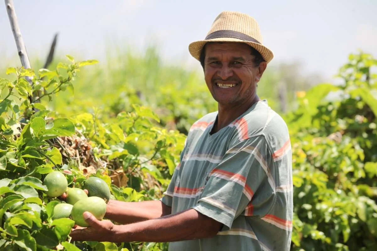 Garantia Safra 2024/2025 vai beneficiar agricultores de mais de 100 municípios cearenses, incluindo Sobral