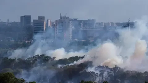 Ceará inaugura vara especializada em crim3s ambientais com mais de 2 mil processos