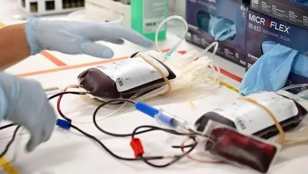 Testemunhas de Jeová atualizam orientação sobre uso de s4ngu3 em tratamentos médicos