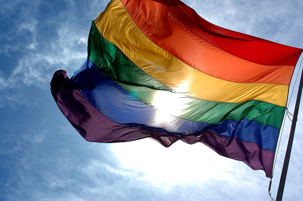 Câmara de São Paulo aprova em 1ª votação projeto que restringe participação de crianças em eventos LGBT+