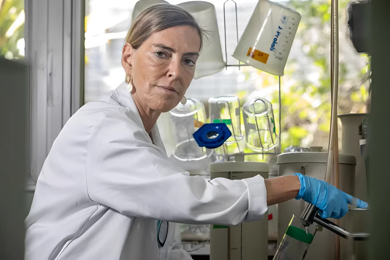 Pesquisadora afirma que novo estudo sobre polilaminina foi aceito para publicação