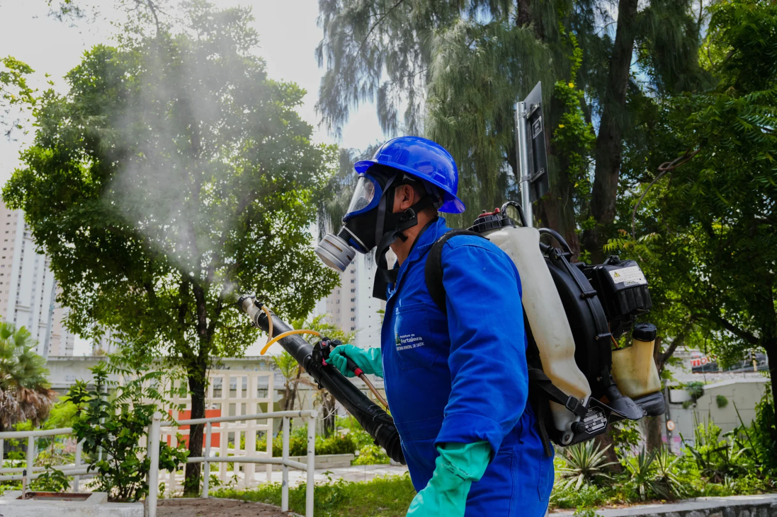 Ceará registra aumento de mais de 30% nos casos de dengue e já supera número de mortes de 2025