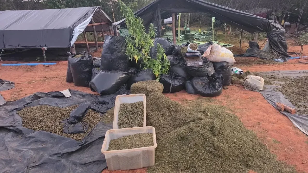 Dono de fazenda onde havia plantação de mac0nh4 é preso no interior do Ceará