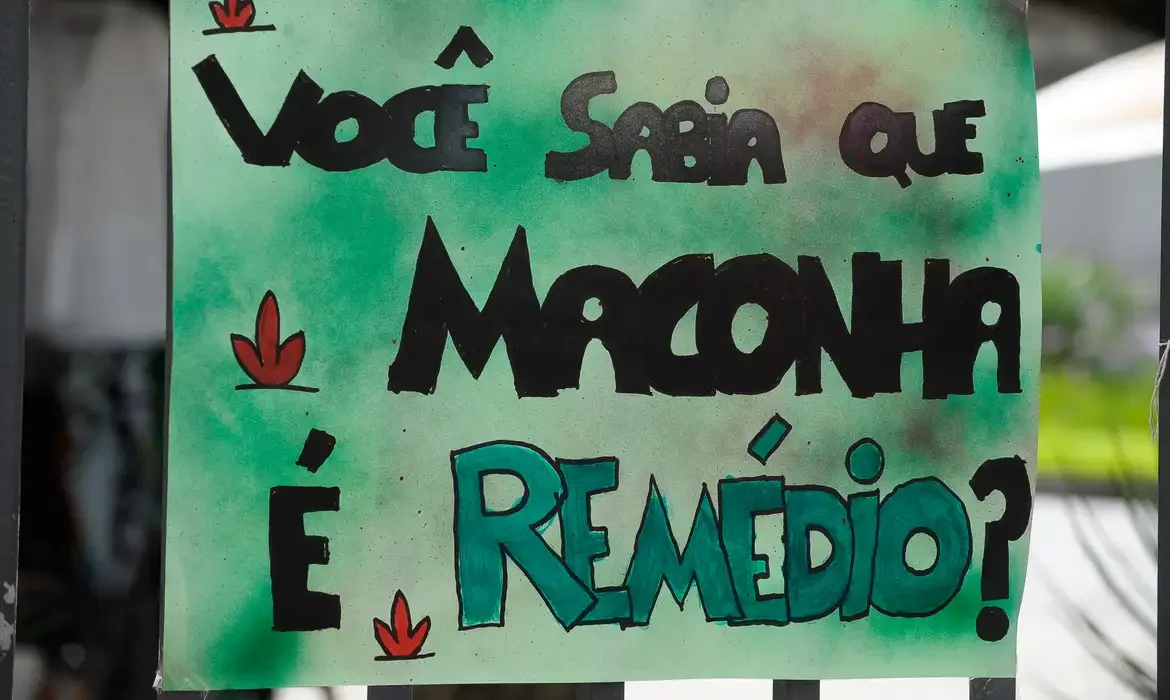 Assembleia do Ceará sedia simpósio sobre cannabis medicinal nesta quinta-feira