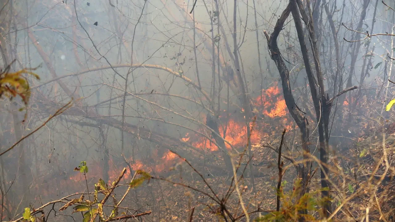 Brasil monitora El Niño muito forte com previsão de impactos até 2027