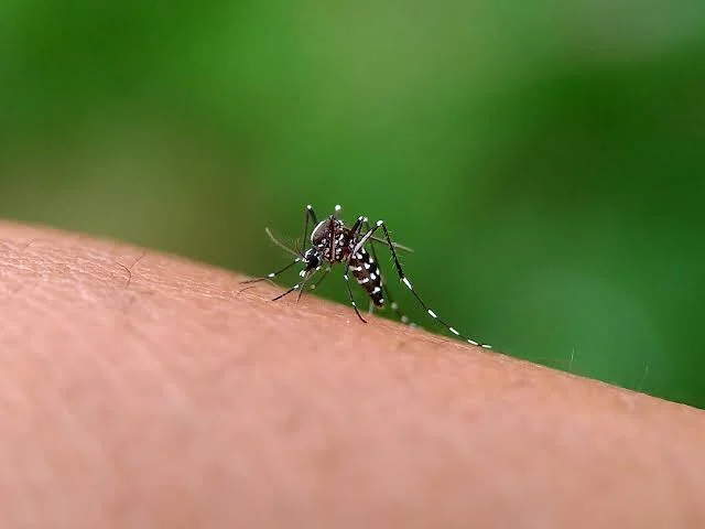 Ceará intensifica ações de combate à dengue após aumento de casos