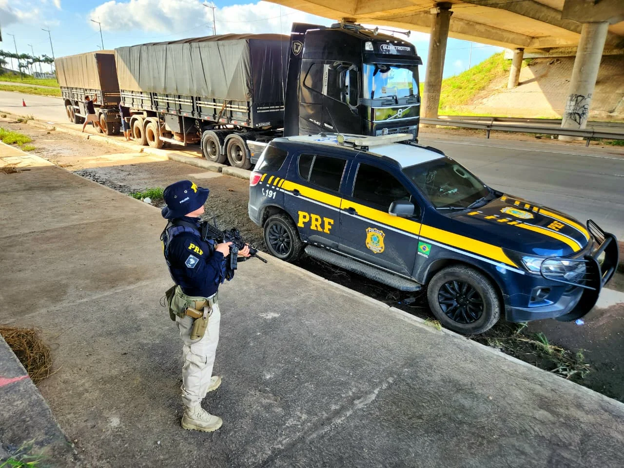 PRF apreende mais de 200 m³ de madeira e identifica fraude em documentação ambiental na BR-222