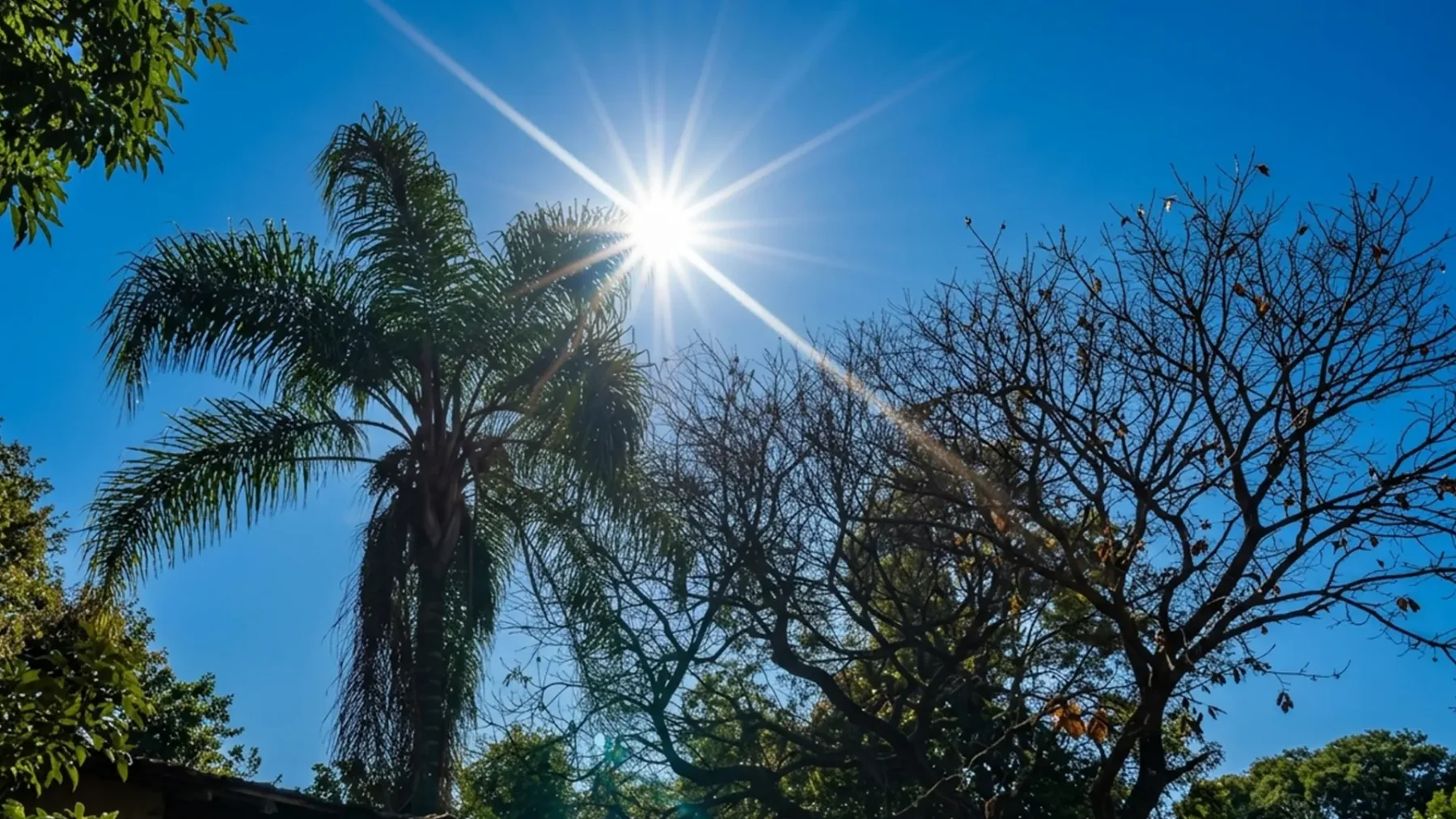 Onda de calor mantém temperaturas até 5°C acima da média em oito estados